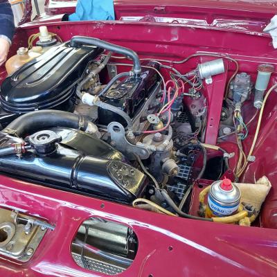 Wolga Gaz 24 Lackiert 8